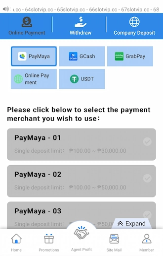 Step 2: select the PayMaya method and choose a payment channel you want to use.