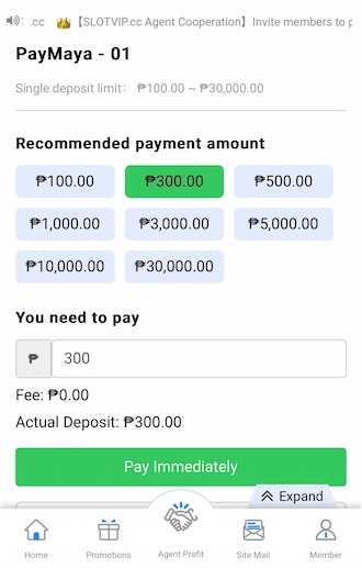 Step 3: Select the amount you want to deposit.